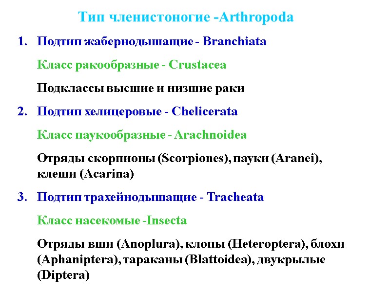 Тип членистоногие -Arthropoda Подтип жабернодышащие - Branchiata  Класс ракообразные - Crustacea  Подклассы